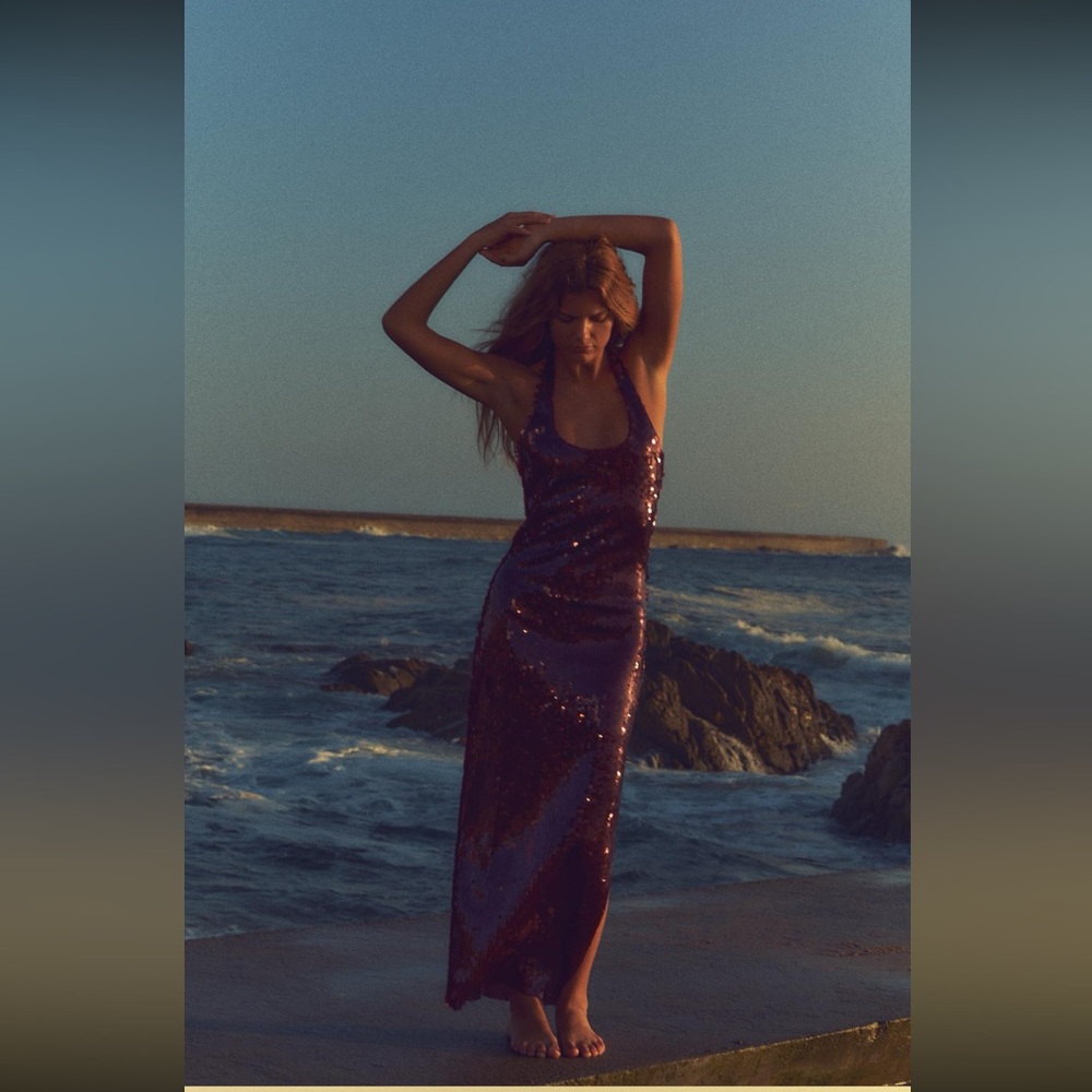 Zara Purple Sequin Maxi Dress